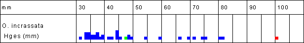 Size distribution