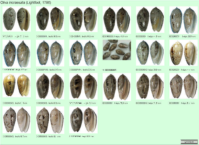 Species images
